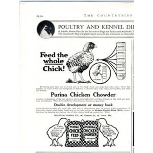 1917 Print Ad Purina Chicken Chowder In Checkerboard Bags Feed The Whole Chick!